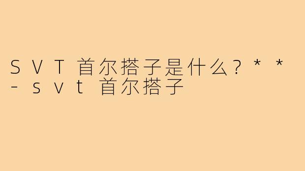 SVT首尔搭子是什么？**
