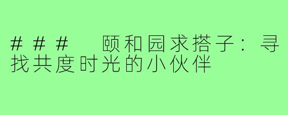 ### 颐和园求搭子：寻找共度时光的小伙伴