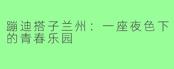 蹦迪搭子兰州:一座夜色下的青春乐园