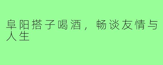 阜阳搭子喝酒，畅谈友情与人生