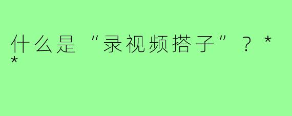 什么是“录视频搭子”？**