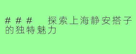 ### 探索上海静安搭子的独特魅力