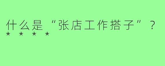 什么是“张店工作搭子”?****