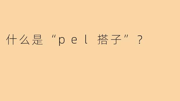 什么是“pel搭子”？  
