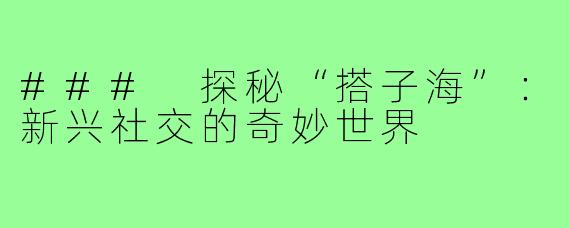 ### 探秘“搭子海”：新兴社交的奇妙世界