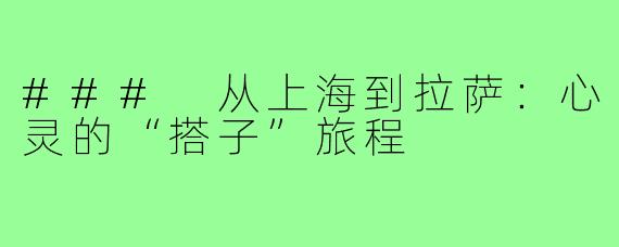 ### 从上海到拉萨：心灵的“搭子”旅程