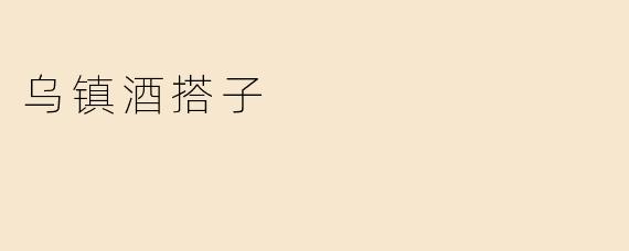 乌镇酒搭子