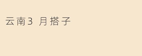 云南3月搭子
