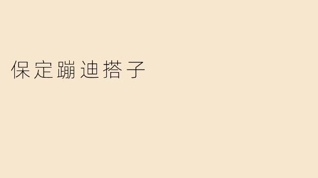 保定蹦迪搭子