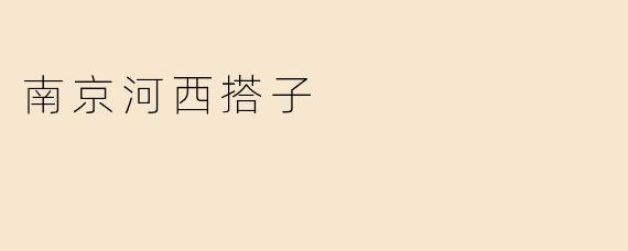 南京河西搭子