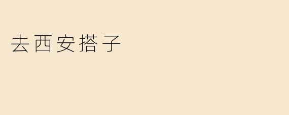 去西安搭子