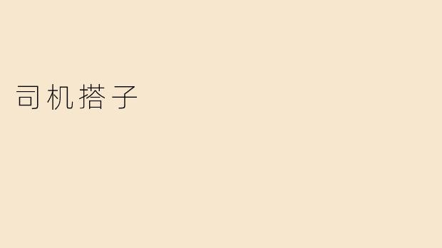 司机搭子