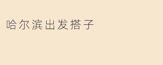 请问“哈尔滨出发搭子”是什么？  