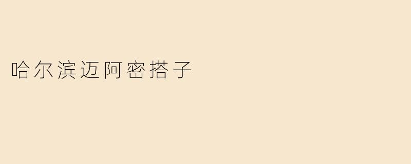 哈尔滨迈阿密搭子