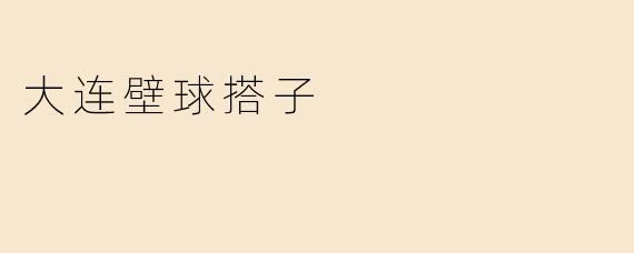 探索大连壁球搭子的魅力与发展