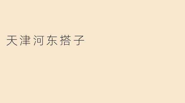 天津河东搭子