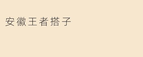 安徽王者搭子