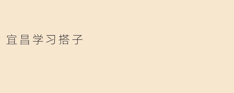 宜昌学习搭子
