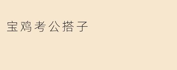 宝鸡考公搭子