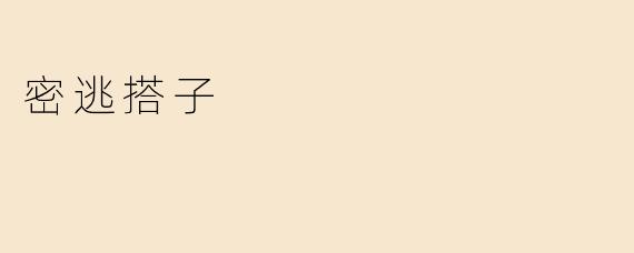 密逃搭子