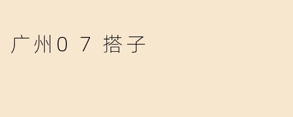 广州07搭子