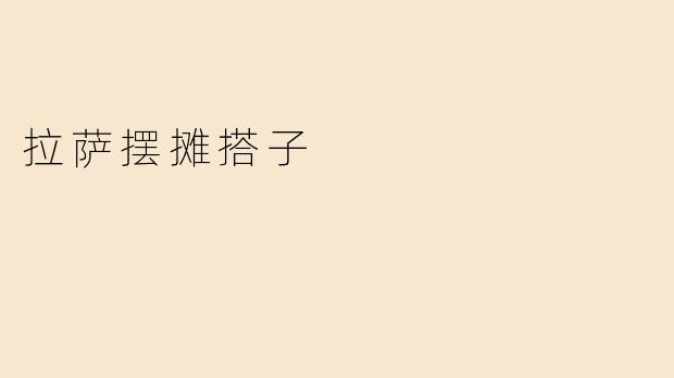 拉萨摆摊搭子