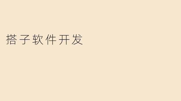 搭子软件开发