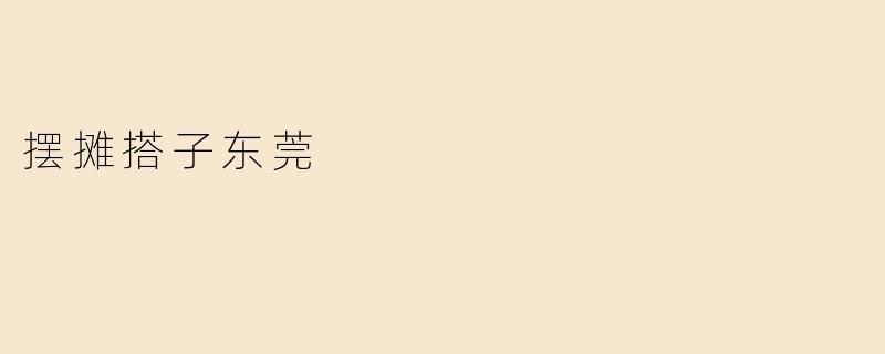 摆摊搭子东莞