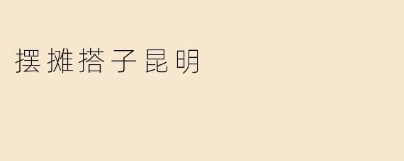 摆摊搭子昆明