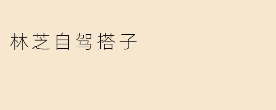 林芝自驾搭子