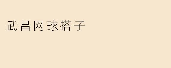 武昌网球搭子