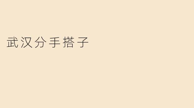 武汉分手搭子