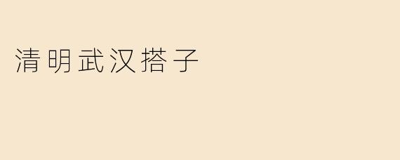 清明武汉搭子