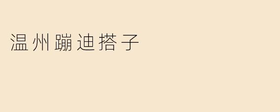 温州蹦迪搭子