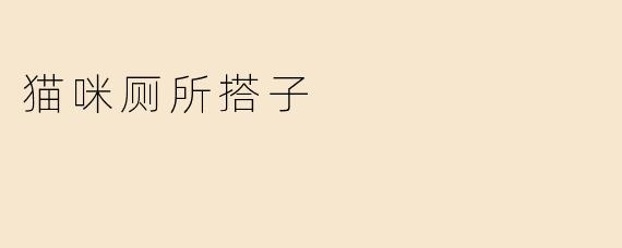 猫咪厕所搭子：家中小可爱的独特陪伴