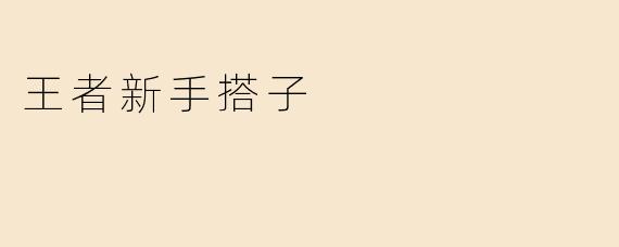 王者新手搭子