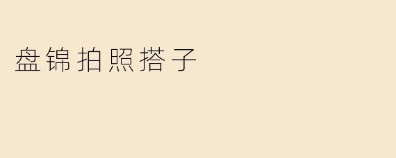 盘锦拍照搭子