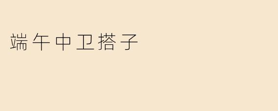 端午中卫搭子