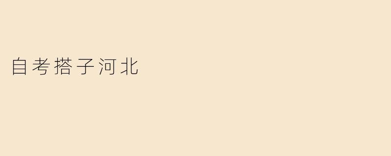 自考搭子河北