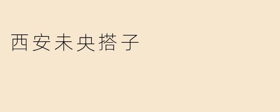 西安未央搭子