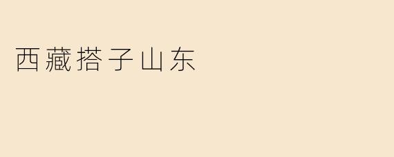 西藏搭子山东