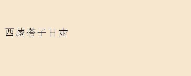 西藏搭子甘肃