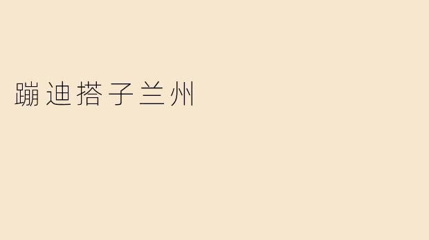 蹦迪搭子兰州：一座夜色下的青春乐园