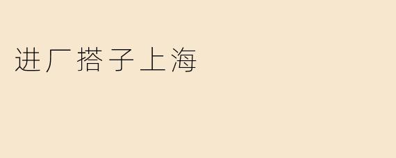 进厂搭子上海