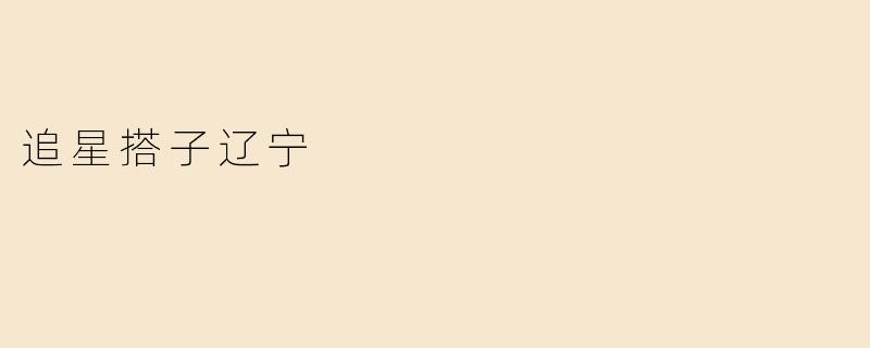 追星搭子辽宁