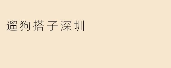 遛狗搭子深圳