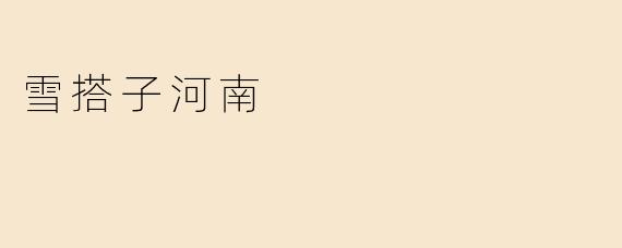 雪搭子河南