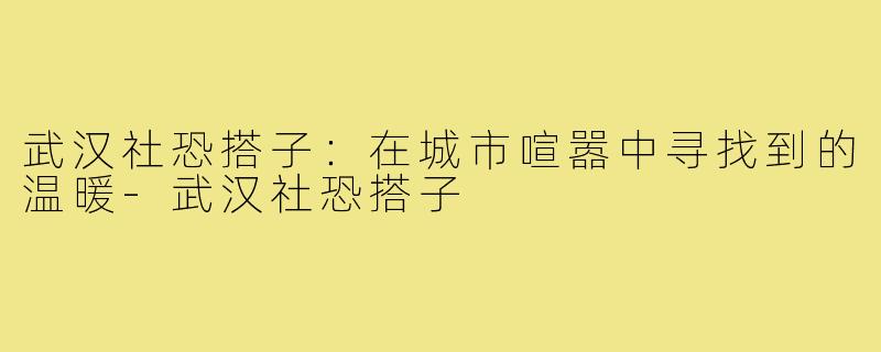 武汉社恐搭子:在城市喧嚣中寻找到的温暖-武汉社恐搭子