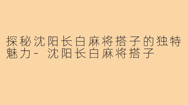 探秘沈阳长白麻将搭子的独特魅力-沈阳长白麻将搭子