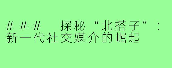 ### 探秘“北搭子”:新一代社交媒介的崛起
